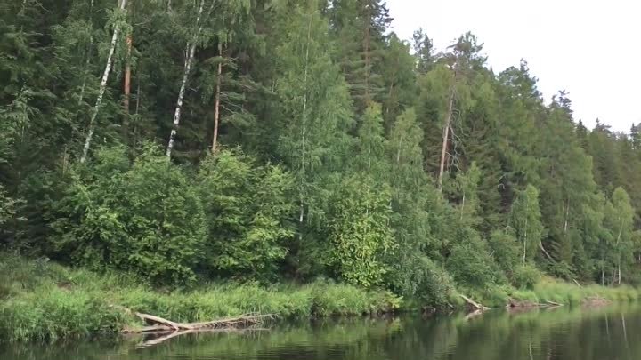 Сплав река Чусовая, от деревни Трёки до Староуткинска, две семьи и д ...