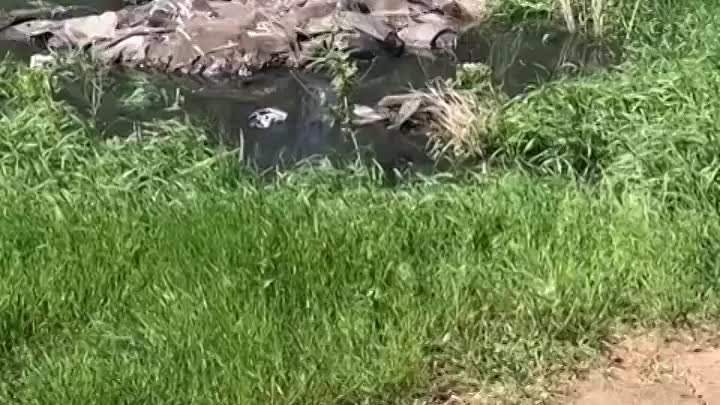 Собираемые во всем новом городе фекальные воды вышли на поверхность  ...