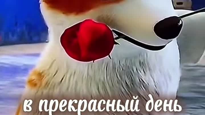 С 8 Марта Вас девочки 🥰