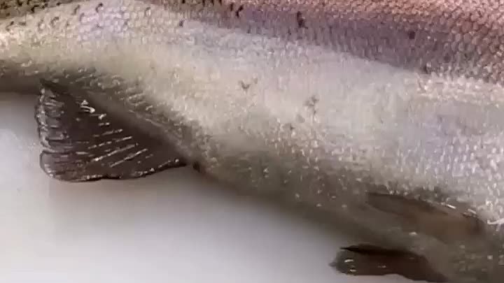 Рыба с сюрпризом!