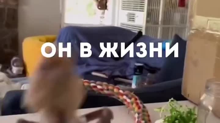 Правда же? 🤣🤣