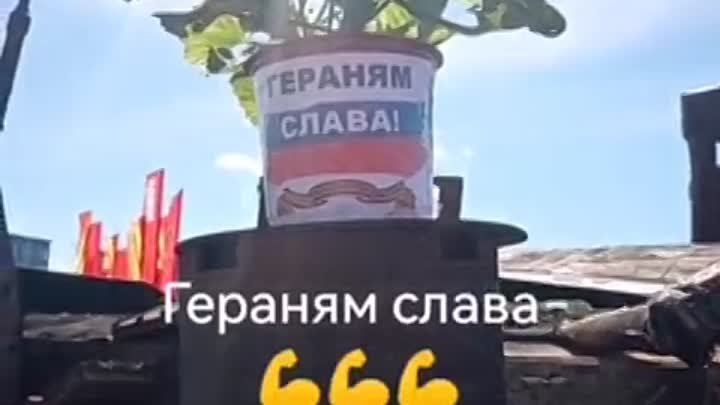 Герань.mp4