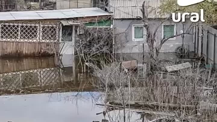 Видео от О, Курган