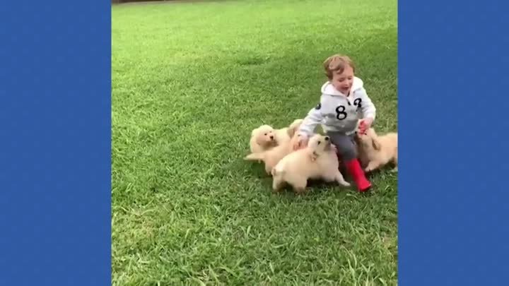Удивительная собака спасает маленькую девочку 😳 Лучшие видео собаки 2023