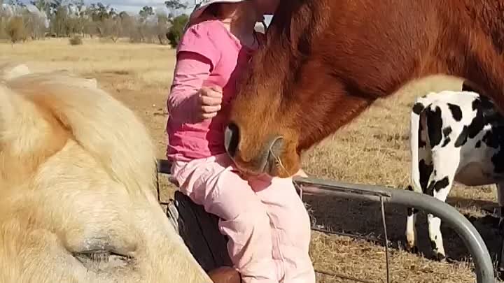 Маленькая девочка поет своей лошадке
