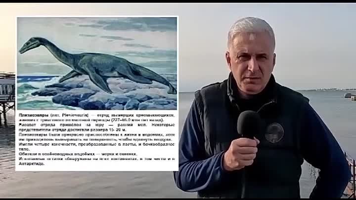 Видео