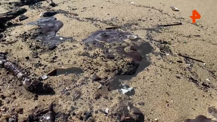 Пляж в Находке загрязнен