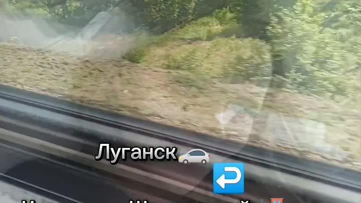 Наше путешествие за знаниями 🚂