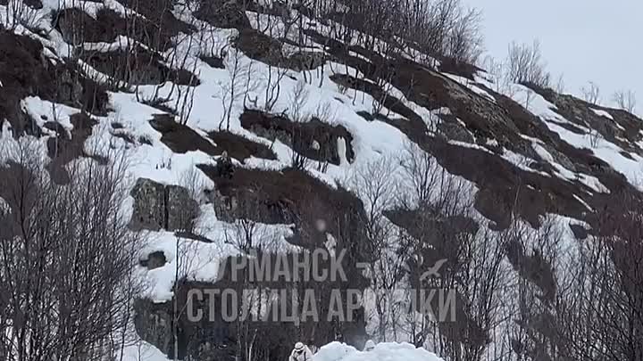 Видео от Мурманск – столица Арктики!