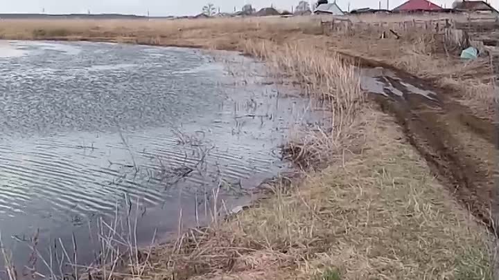 Паводок проходит успешно, в рамках приличия. 02/05/2024г.