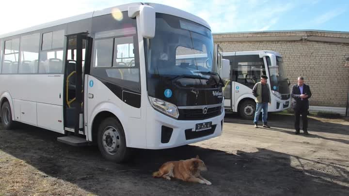 На городских маршрутах появились новые автобусы