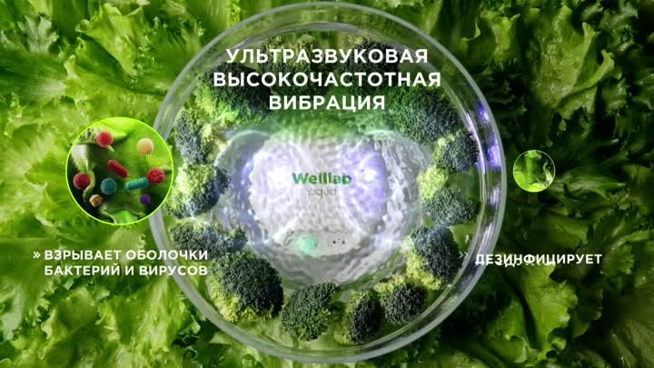 Ультразвуковой дезинфектор продуктов Welllab AQUA! 💦