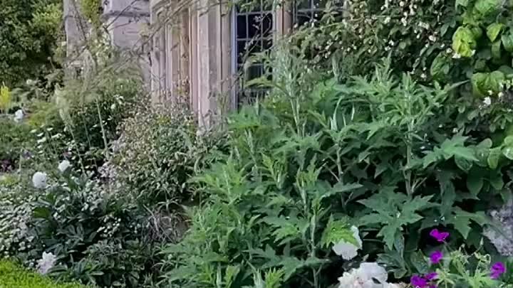 Красивый сад видео.mp4