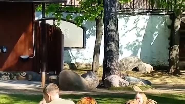 Video by moscow_zoo_friends