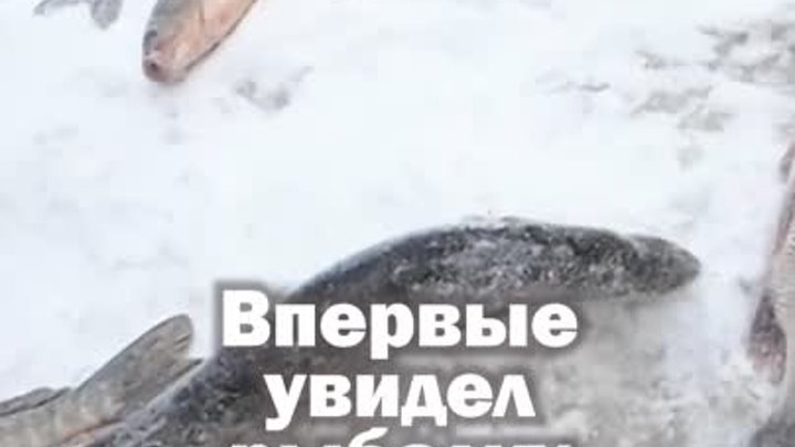 Как рыбачат оленеводы на севере России