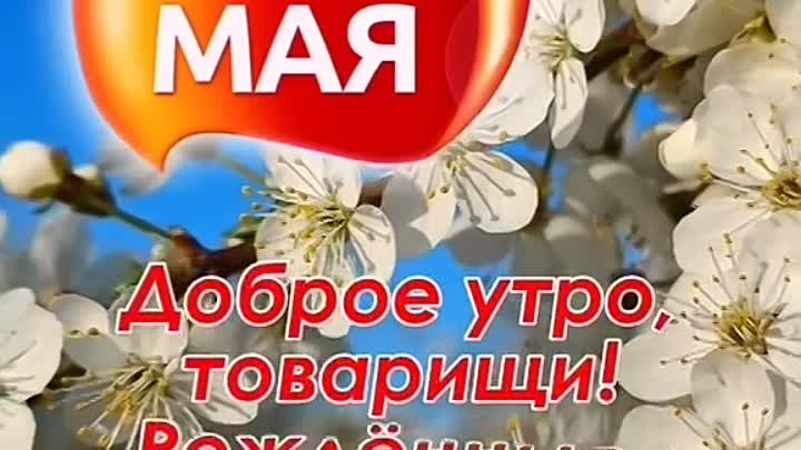 Доброе утро товарищи!
С праздником 1 МАЯ! 🎈