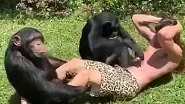 Мужчина качает пресс вместе с обезьянами