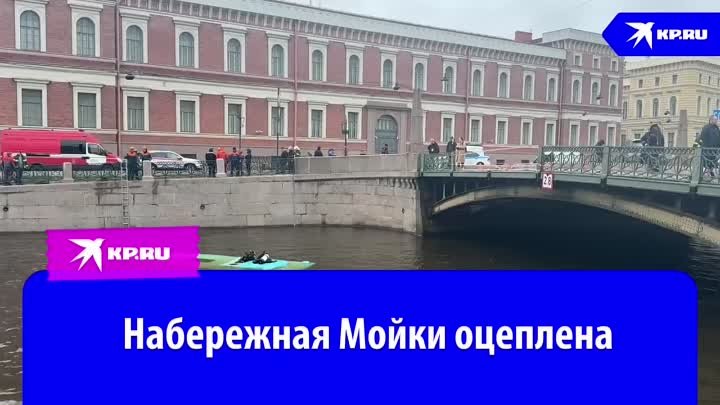 Набережная Мойки оцеплена