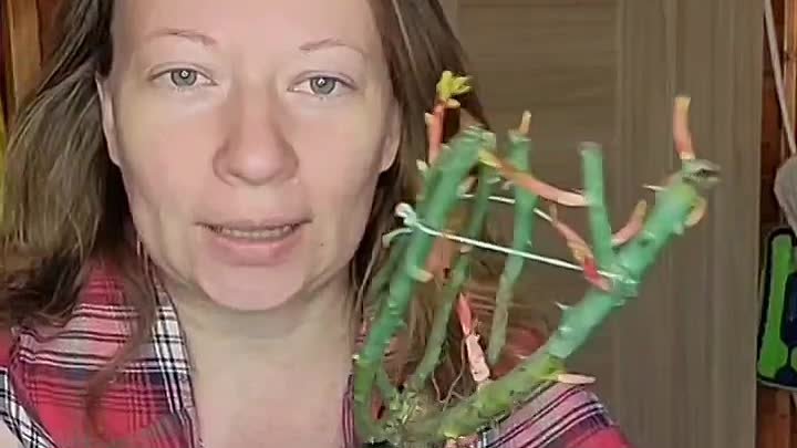 Видео от Светланы Самойловой 