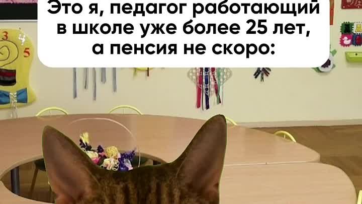 Котик.mov.mp4