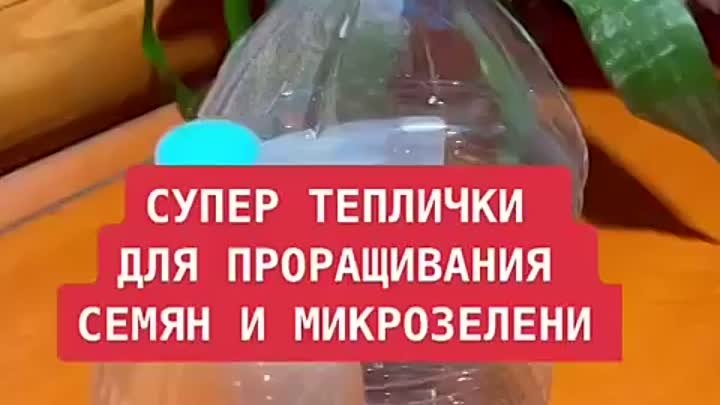 Огород рассада и семена