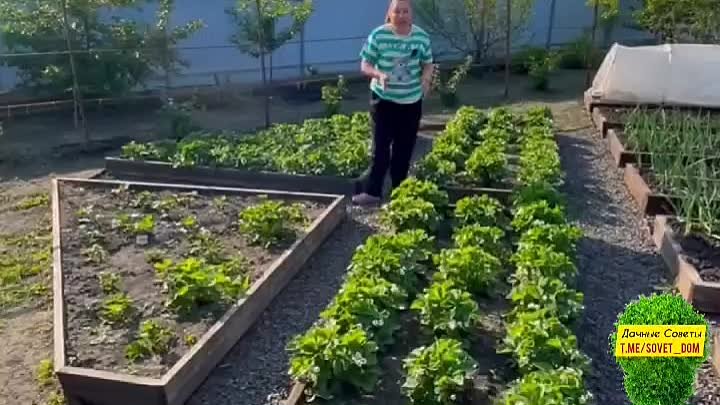 Видео от Загородный дом (Дача) или во саду ли, в огороде