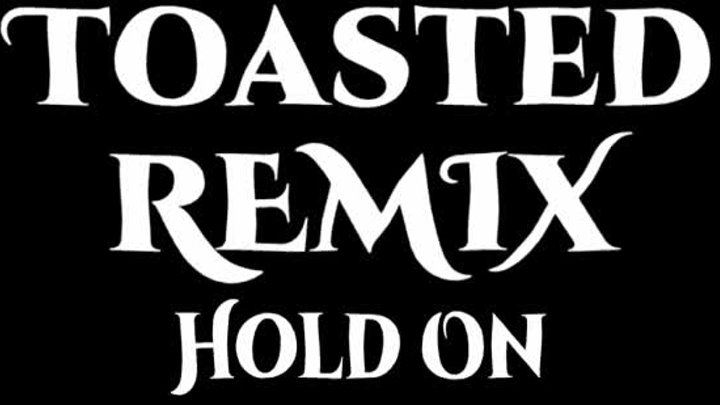 loft - hold on (Toasted Remix)