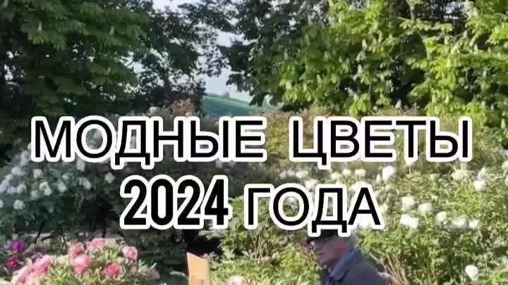 Цветы 2024 года https://ok.ru/housegarden