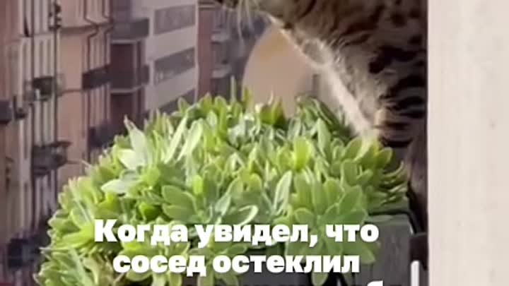 Остекление балконов и лоджий 