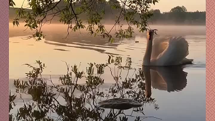 Какое умиротворение от видео!