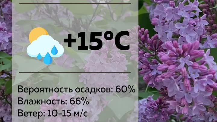 Погода в Барнауле 27 мая
