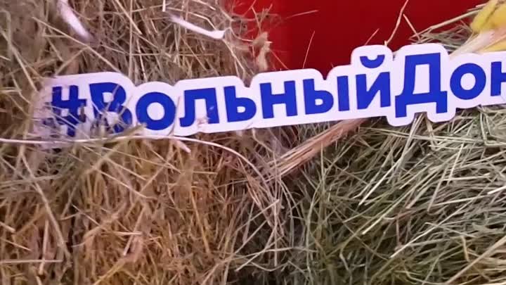 1й день форума Открой Вольный Дон!