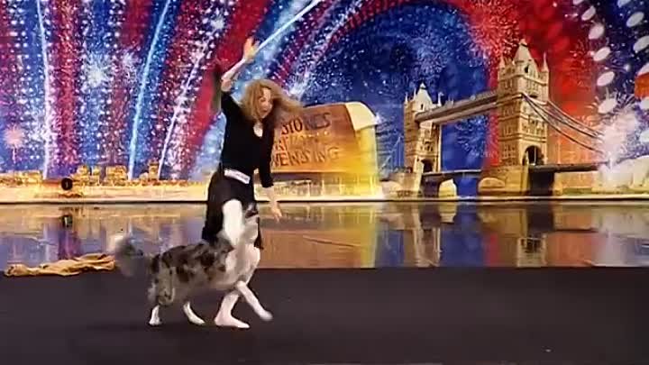Танец собаки с хозяйкой.