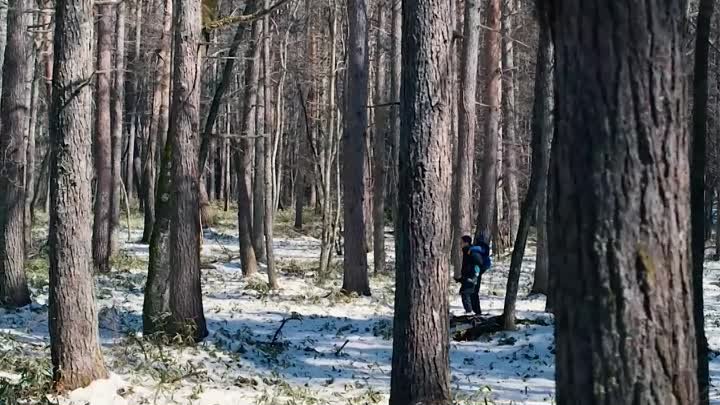 Зло не существует - уже в кино!