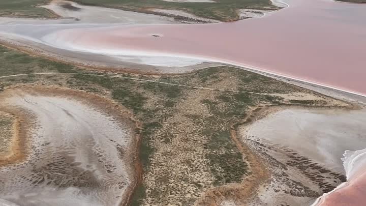 Розовое озеро в Калмыкии