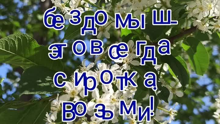 Майская подборка щеночков на пристрой
