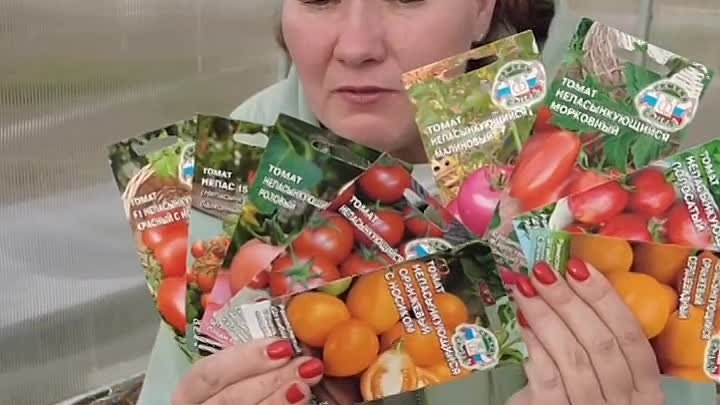 Совместная посадка томатов и огурцов