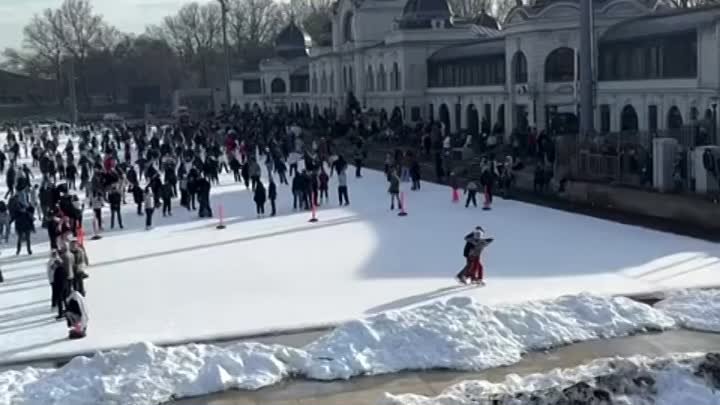 Доброго дня, самые лучшие люди планеты.