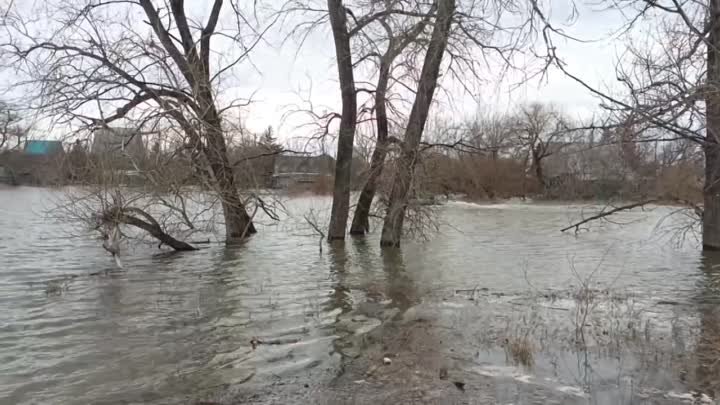 Ямалспас в Кургане