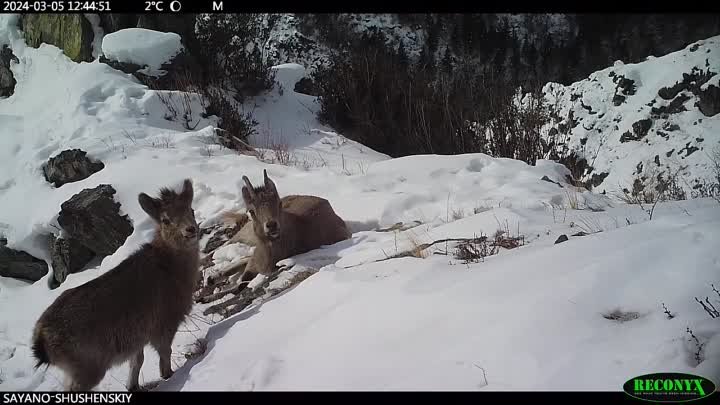 Видео от Красноярск