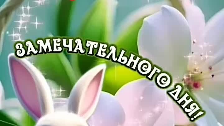 Замечательного дня.mp4