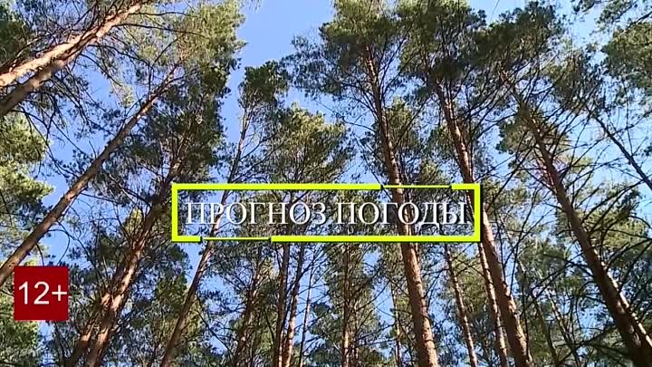 Прогноз погоды на 16.05.2024