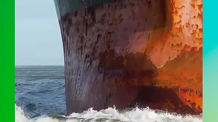 Дельфины играют перед кораблем
