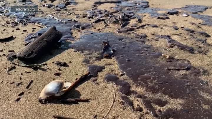 Пляж в Приморском крае залило нефтепродуктами