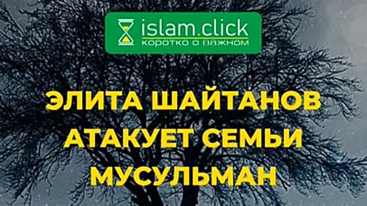Элита шайтанов атакует семьи мусульман | шейх Абу Яхья Крымский