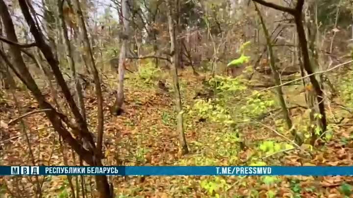 Видео_МВД_наркокурьеры