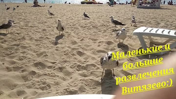 Развлечения пляжа Витязево.mp4_1.mp4