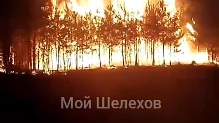 Лес горит.mp4