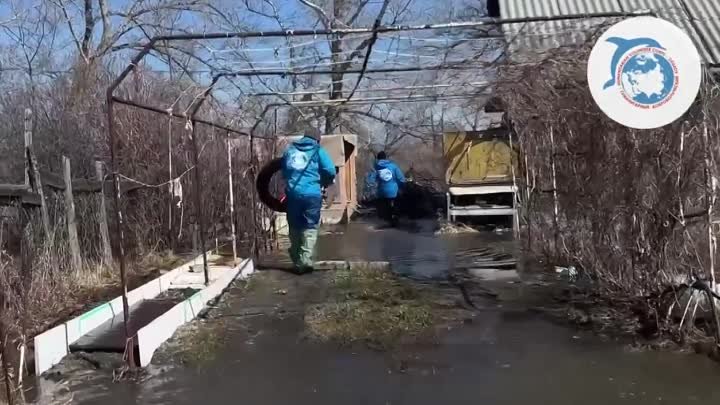 Гумкорпус спас обреченную на смерть собаку.