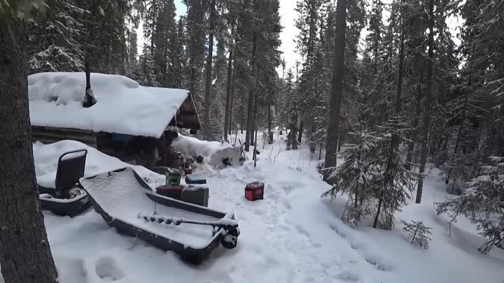 Тайга. Глухомань. Живём в старой, маленькой избе. Ловим Хариуса.